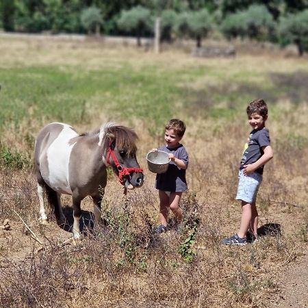 Arca Dos Animais - Farming & Spa Castelo Branco  Kültér fotó
