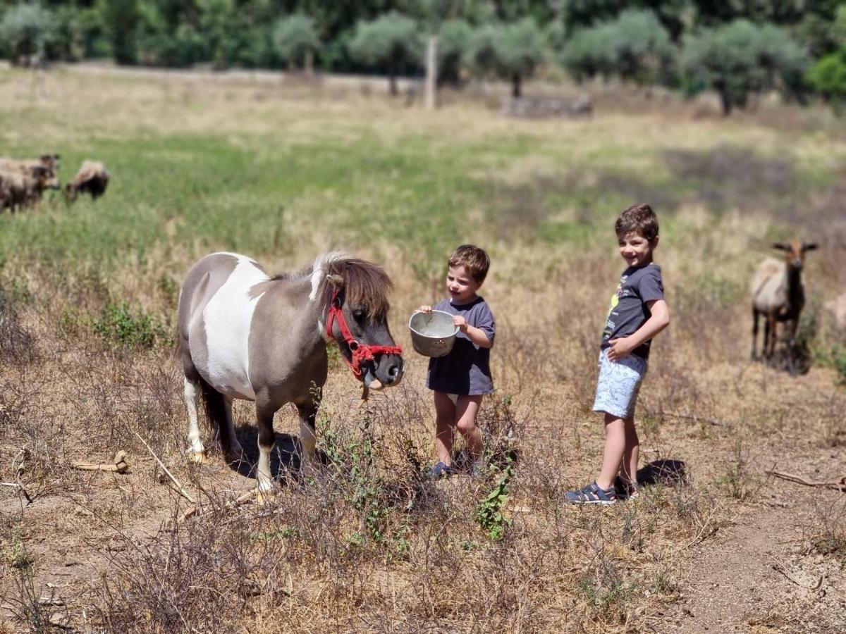 Arca Dos Animais - Farming & Spa Castelo Branco  Kültér fotó